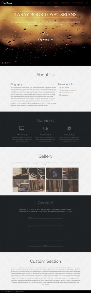 onetone-wp-theme-vivacity-infotech